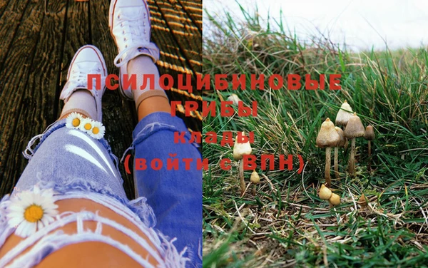 марки lsd Алзамай