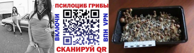 Галлюциногенные грибы мухоморы  Заволжск 